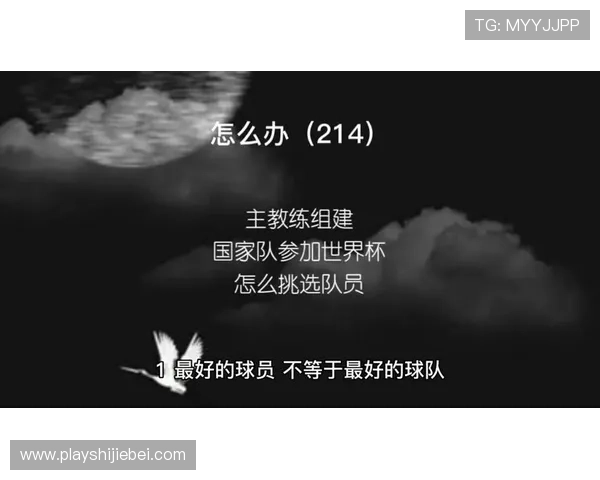 2023年世界杯最强球队排名前十名，深入探讨各队的战术特点与核心优势